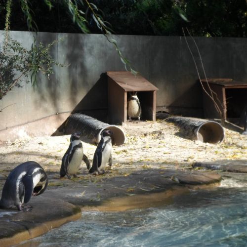 Zoo photos