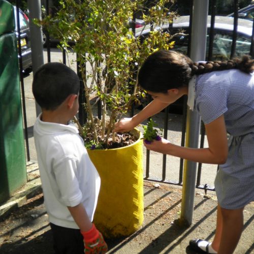 Homebase Plants