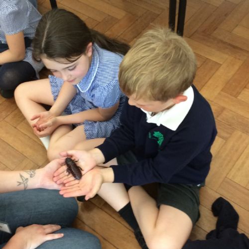 Zoo Lab Visit